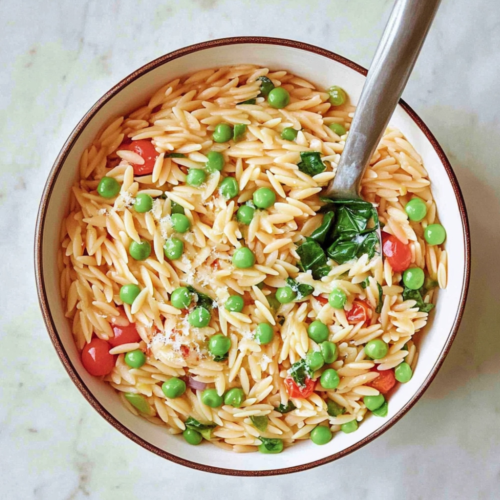 1deliciously-easy-orzo-pasta-recipe-you-must-try-today